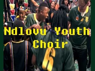 The Ndlovu Youth Choir