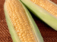 fresh-corn-image