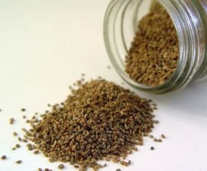 Celery seed