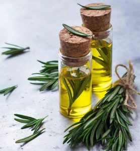 Rosemary oil