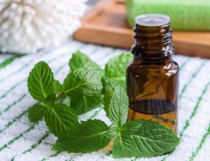 Essential Oils for Pain Relief 