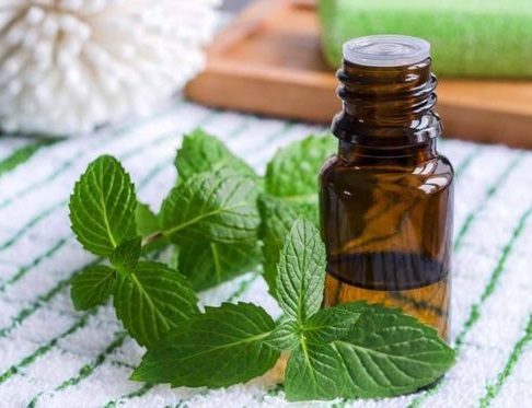 Essential Oils for Pain Relief