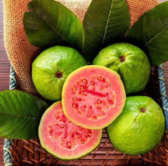 Guava