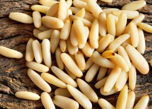 Pine Nuts